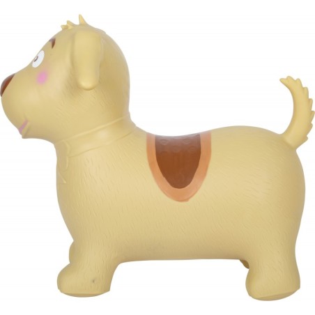 Hüppeloom koer