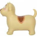 Hüppeloom koer