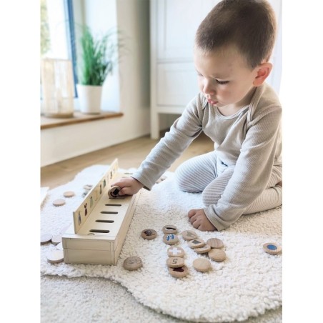 Piltide sorteerimiskast Maailma avastaja