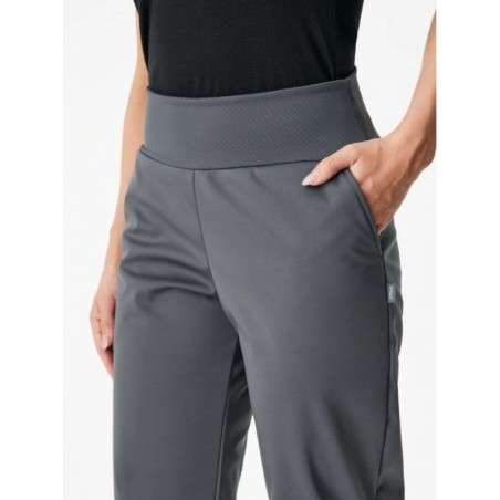 Naiste softshell püksid fliisvoodriga, hall