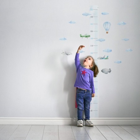 Seinakleebis mõõdupuu lennukid