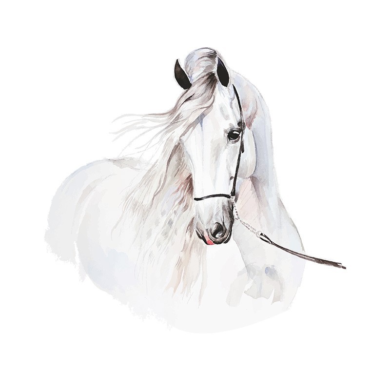 Seinakleebis hobune XL