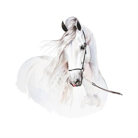 Seinakleebis hobune M