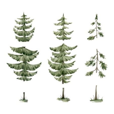 Seinakleebised hirved metsas