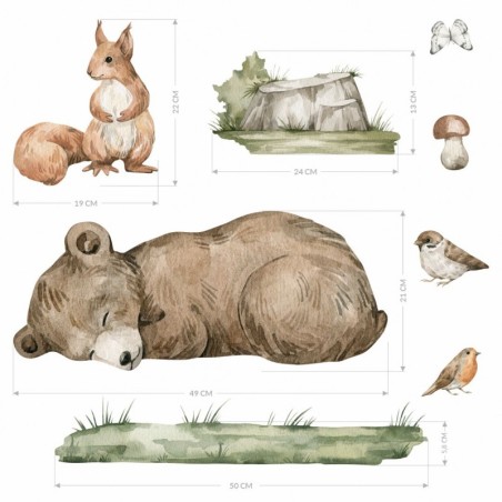 Seinakleebis karu ja orav metsas