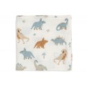 Musliin lapid 3 tk, 31x31 cm, Roarsome