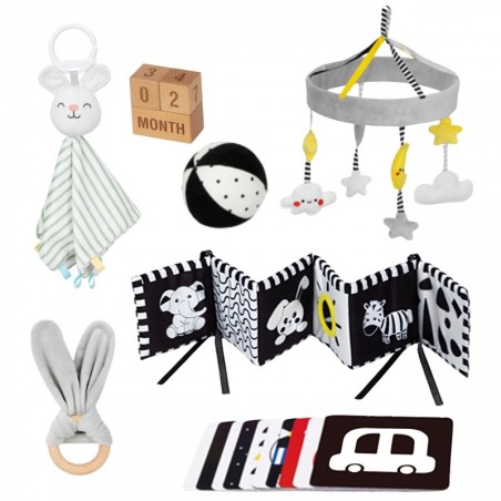 Montessori hariduslik 7in1 sensoorne mänguasjadega kast XXL 0-2 kuud 18 tk FSC