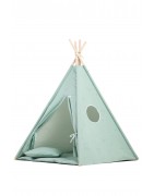 Tipi telgid